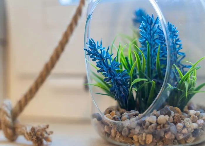 Senjo - With Balcony And Garden View 5