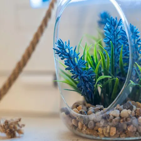 Senjo - With Balcony And Garden View 5